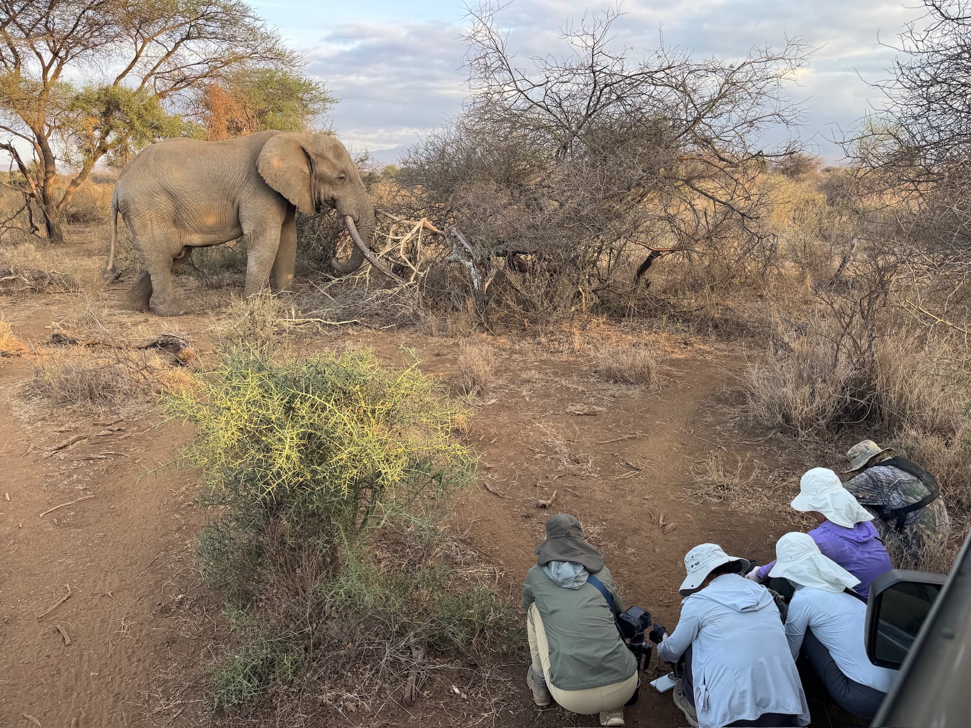 Three photographers crouch low beside the open vehicle door, cameras raised, as an elephant feeds in the dry thornbush at close range — the gap between vehicle and subject almost nothing.