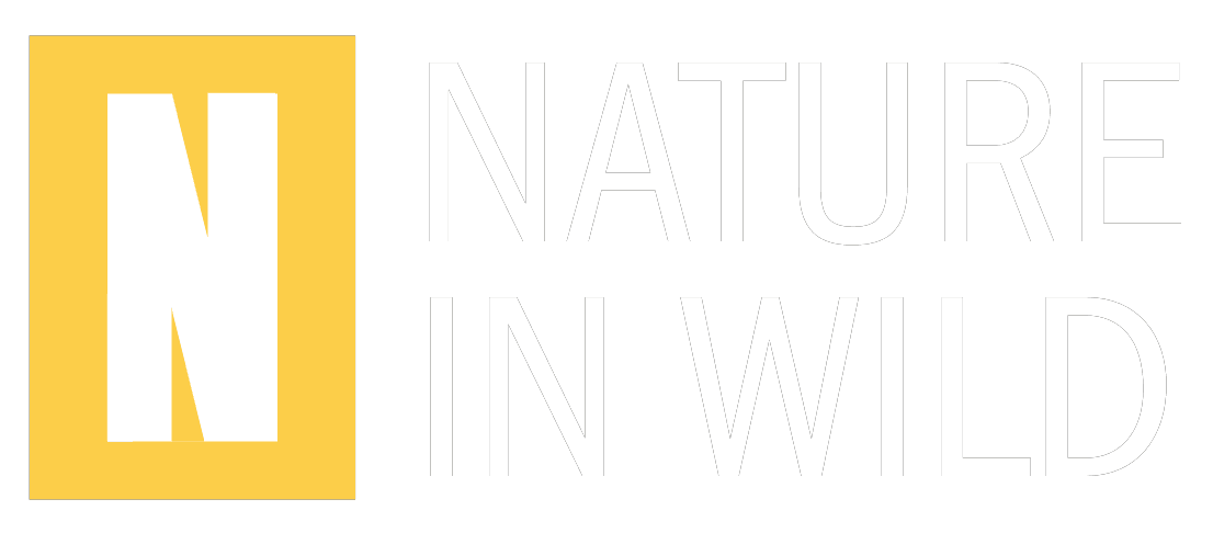 Nature in Wild