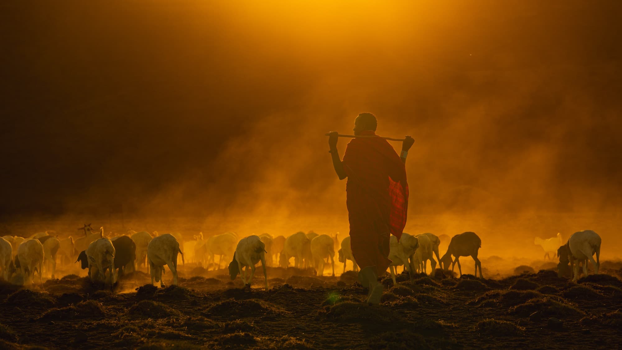A Maasai herder in a red shuka walking into a thick amber dust cloud on the open Natron plain, the figure reduced to a silhouette against the warm haze.